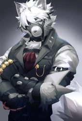 Rule 34 | 1boy, absurdres, animal ears, eyepatch, fingerless gloves, furry, furry male, gloves, grey eyes, grey shirt, highres, looking to the side, shabi96522, shirt, simple background, solo, teeth, upper body, von lycaon, white fur, white hair, wolf boy, wolf ears, zenless zone zero