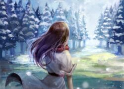 Rule 34 | 1girl, belt, brown hair, cloud, cloudy sky, grass, highres, long hair, original, red belt, red scarf, scarf, sky, snowing, solo, sunlight, touchika, tree