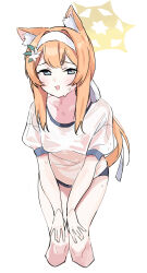 Rule 34 | 1girl, animal ear fluff, animal ears, blue archive, blue eyes, breasts, cat ears, cropped legs, feet out of frame, flower, gym shirt, gym uniform, hair between eyes, hair flower, hair ornament, halo, hei (tonarinohey), highres, long hair, looking at viewer, mari (blue archive), mari (track) (blue archive), official alternate costume, open mouth, orange hair, shirt, short sleeves, simple background, small breasts, solo, wet, wet clothes, wet shirt, white background, white flower, white shirt, yellow halo