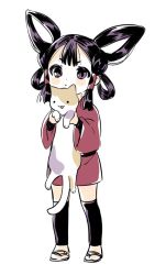 Rule 34 | 1girl, animal, belt, black belt, black eyes, black hair, brown cat, cat, child, copyright request, dot nose, dress, expressionless, eyebrows hidden by hair, hair tubes, holding, holding animal, holding cat, leg warmers, looking to the side, namori, no socks, red dress, sakuna-hime, sandals, sidelocks, simple background, staring, tensui no sakuna-hime, thighhighs, white background, white cat, zettai ryouiki