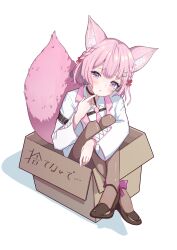 Rule 34 | 1girl, animal ear fluff, animal ears, black footwear, black pantyhose, blush, box, breasts, collared shirt, finger to own chin, hakui koyori, hakui koyori (1st costume), high heels, highres, hololive, in box, in container, lab coat, looking at viewer, medium breasts, necktie, pantyhose, pink hair, pink necktie, purple eyes, shirt, taachika, tail, virtual youtuber, white background, white shirt, wolf ears, wolf girl, wolf tail
