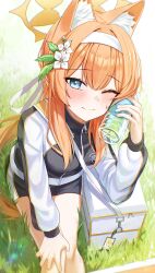 Rule 34 | 1girl, absurdres, animal ear fluff, arch a4, black jacket, black shorts, blue archive, blue eyes, blush, bottle, bottle to cheek, closed mouth, commentary, flower, grass, gym shirt, gym shorts, gym uniform, hair flower, hair ornament, hairband, halo, hand on own knee, highres, holding, holding bottle, jacket, long hair, long sleeves, looking at viewer, mari (blue archive), mari (track) (blue archive), multicolored clothes, multicolored jacket, official alternate costume, one eye closed, orange hair, shirt, short shorts, shorts, sitting, smile, solo, sweat, symbol-only commentary, track jacket, two-tone jacket, water bottle, white flower, white hairband, white jacket, yellow halo, zipper pull tab