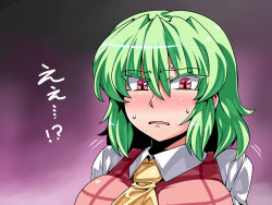 Rule 34 | 1girl, ascot, blush, breasts, collared shirt, colored eyelashes, commentary, gradient background, green hair, highres, kazami yuuka, large breasts, open mouth, pink eyes, plaid, plaid vest, purple background, shirt, short hair, solo, sweat, touhou, translated, tukiwani, upper body, vest, wavy mouth