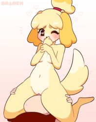 Rule 34 | 1girl, absurdres, animal crossing, animal ears, blonde hair, blush, breasts, cunnilingus, dog, dog ears, dog girl, dog tail, eyelashes, furry, furry female, furry with non-furry, girl on top, heart, heart-shaped pupils, highres, interspecies, isabelle (animal crossing), navel, nintendo, nude, one eye closed, oral, pussy, sataen, small breasts, symbol-shaped pupils, tail, thick thighs, thighs, topknot, yellow fur