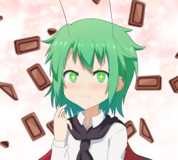 Rule 34 | + +, 1girl, :t, antennae, cape, cato (monocatienus), chocolate, commentary, eating, green eyes, green hair, long sleeves, looking at viewer, portrait, shirt, short hair, smile, solo, touhou, v-shaped eyebrows, white shirt, wriggle nightbug