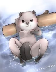 Rule 34 | artist request, beaver, convenient censoring, furry, water