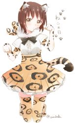 Rule 34 | 10s, 1girl, animal ears, bafarin, black bow, black bowtie, blush, bow, bowtie, breasts, brown eyes, brown hair, cat day, cat ears, cat tail, center frills, commentary request, cosplay, elbow gloves, frilled skirt, frills, full body, funami yui, fur collar, gloves, highres, jaguar (kemono friends), jaguar (kemono friends) (cosplay), jaguar ears, kemono friends, kneeling, looking at viewer, paw pose, paw print, pleated skirt, print gloves, print skirt, print thighhighs, short hair, short sleeves, simple background, skirt, solo, tail, thighhighs, translated, tsuda minami, twitter username, voice actor connection, white background, yuru yuri, zettai ryouiki