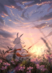 Rule 34 | 1girl, absurdres, animal ears, arknights, back, blurry, chinese commentary, cloak, cloud, cloudy sky, commentary, cowboy shot, dadijiji, dawn, depth of field, field, flower, from behind, frostnova (arknights), highres, light particles, outdoors, rabbit ears, scenery, short hair, sky, solo, standing, sun, sunlight, white cloak, white hair, wind