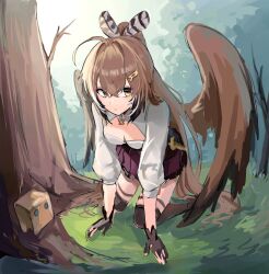 Rule 34 | 1girl, ahoge, bare tree, bird girl, bird wings, brown corset, brown eyes, brown hair, cleavage cutout, clothing cutout, corset, crossed bangs, dagger, feather hair ornament, feathers, forest, friend (nanashi mumei), hair ornament, hairclip, han ma53, highres, hololive, hololive english, kneeling, knife, long hair, looking at viewer, multicolored hair, nanashi mumei, nanashi mumei (1st costume), nature, pleated skirt, ponytail, red skirt, shirt, sketch, skirt, streaked hair, thighhighs, tree, very long hair, virtual youtuber, weapon, white shirt, wings