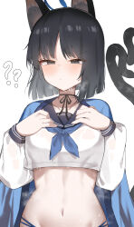 Rule 34 | 1girl, ?, ??, absurdres, animal ears, black eyes, black hair, blue archive, blue neckerchief, cat ears, cat girl, cat tail, closed mouth, cropped shirt, doldol (rkwowlqrp), halo, hands on own chest, haori, highres, japanese clothes, kikyou (blue archive), long sleeves, multiple tails, navel, neckerchief, sailor collar, shirt, short hair, simple background, solo, tail, two tails, white background, white shirt