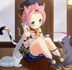 Rule 34 | 1girl, animal ear fluff, animal ears, animal print, bag, bangs pinned back, black shorts, cat, cat ears, cat girl, cat print, cat tail, cat teaser, commentary request, detached sleeves, diona (genshin impact), door, forehead, genshin impact, gloves, green eyes, hair ribbon, hat, highres, holding, long sleeves, paw print, pink hair, playing, puffy detached sleeves, puffy shorts, puffy sleeves, ribbon, short hair, shorts, sidelocks, sitting, smile, tail, thick eyebrows, white gloves, wooden floor, yoboshi