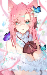 Rule 34 | 1girl, absurdres, animal ears, arm under breasts, armpit crease, bare shoulders, black ribbon, blue butterfly, blush, bra, breasts, bug, butterfly, cleavage, dot nose, gloves, green butterfly, green eyes, hair between eyes, highres, insect, large breasts, long hair, looking at viewer, loose neck ribbon, neck ribbon, neck ruff, original, parted bangs, parted lips, pink hair, purple butterfly, ribbon, shotgunman, sidelocks, solo, underwear, upper body, white bra, white gloves, wolf ears, wolf girl