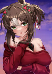 Rule 34 | 1girl, absurdres, alternate costume, between breasts, breasts, brown hair, casual, cleavage, collarbone, commentary request, covered erect nipples, fine motion (umamusume), folded ponytail, gift, green eyes, hair between eyes, hair ornament, highres, large breasts, looking at viewer, open mouth, portrait, sky, solo, tabunshake, umamusume, valentine