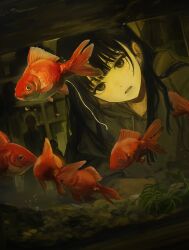 Rule 34 | 1boy, absurdres, androgynous, black-haired boy (iwzry), black hair, blunt bangs, bubble, commentary request, fish, fish tank, funabashi (iwzry), goldfish, grey eyes, grey hoodie, hand in own hair, highres, hood, hoodie, long hair, long sleeves, male focus, original, parted lips, poop, rock, silhouette, solo focus, upper body, water