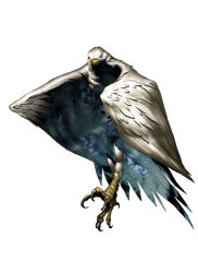 Rule 34 | atlus, beak, bird, demon, feathers, persona, shin megami tensei, talons, wings