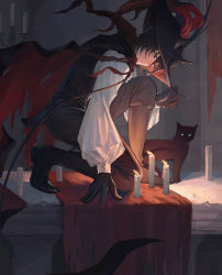 Rule 34 | 1boy, animal ears, arknights, bishounen, black cat, black gloves, blouse, candle, candlelight, cape, cat, cat boy, cat ears, christine (arknights), egggg233333, full body, gloves, hat, highres, indoors, kneeling, looking at viewer, male focus, on one knee, phantom (arknights), phantom (focus) (arknights), shirt, short hair, solo, table, yellow eyes