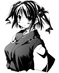Rule 34 | 1girl, blush, closed mouth, coin, female focus, greyscale, hair bobbles, hair ornament, jewelry, looking at viewer, monochrome, onozuka komachi, pendant, simple background, solo, touhou, twintails, two side up, upper body, yuuki eishi