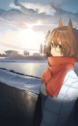 Rule 34 | 1girl, animal ears, ashinowoto, aston machan (umamusume), breasts, brown hair, building, closed mouth, cloud, coat, glasses, green eyes, grey sweater, highres, horse ears, long sleeves, looking at viewer, medium breasts, open clothes, open coat, outdoors, power lines, round eyewear, scarf, short hair, smile, snow, solo, standing, sweater, tree, umamusume, white coat