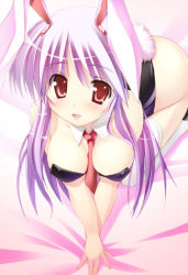 Rule 34 | 1girl, all fours, animal ears, blush, breasts, cleavage, female focus, large breasts, long hair, necktie, playboy bunny, purple hair, rabbit ears, rabbit girl, rabbit tail, red eyes, red necktie, reisen udongein inaba, solo, tail, takeda aranobu, touhou