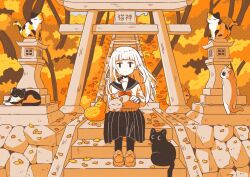 Rule 34 | 1girl, animal, animal on lap, arm at side, autumn, autumn leaves, black cat, black pantyhose, black sailor collar, black skirt, blunt bangs, bow, brown cat, brown footwear, calico, cat, closed mouth, commentary request, dot mouth, halo, hand on animal, hand up, highres, hime cut, iguana taisa, loafers, long hair, long sleeves, looking at viewer, on lap, orange theme, original, outdoors, pale skin, pantyhose, petting, pleated skirt, red bow, sailor collar, school uniform, serafuku, shirt, shoes, sitting, sitting on stairs, skirt, sleeping animal, solo, stairs, stone lantern, straight-on, too many, too many cats, torii, translation request, tree, white cat, white hair, white shirt, wide shot, wind, | |