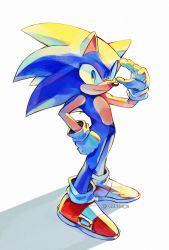 1boy animal_nose closed_mouth full_body furry furry_male gloves highres male_focus ombeo_o solo sonic_(series) sonic_the_hedgehog standing twitter_username white_gloves