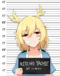 Rule 34 | 1girl, antlers, bandaid, bandaid on face, blonde hair, blouse, blue shirt, character name, closed mouth, collarbone, commentary request, dragon horns, empty eyes, expressionless, frown, hair between eyes, highres, holding, horns, kicchou yachie, looking at viewer, mugshot, red eyes, shirt, short hair, short sleeves, simple background, solo, swept bangs, touhou, turtle shell, upper body, wuwusan