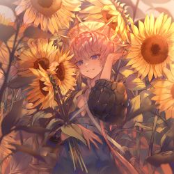 Rule 34 | 1girl, blue eyes, blurry, blurry foreground, blush, braid, breasts, crown braid, dress, fate/grand order, fate (series), flower, hand up, hat, highres, holding, holding flower, long hair, long sleeves, looking at viewer, muneomon (takomon), open mouth, orange hair, puffy sleeves, revision, short hair, side braid, small breasts, smile, solo, sunflower, van gogh (fate), yellow flower