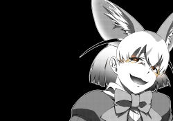 Rule 34 | 10s, 1girl, animal ears, bow, bowtie, brown eyes, commentary, evil smile, fennec (kemono friends), fox ears, greyscale, half-closed eyes, halftone, kaya (nari1-24), kemono friends, looking at viewer, monochrome, open mouth, portrait, shirt, short hair, smile, solo, spot color