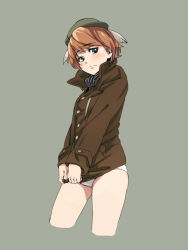 Rule 34 | 1girl, animal ears, aqua eyes, blush, covering privates, covering crotch, dog ears, hat, isabelle du monceau de bergendal, jacket, looking at viewer, no pants, orange hair, panties, short hair, sleeves past wrists, solo, strike witches, underwear, uno ichi, white panties, world witches series