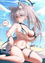 Rule 34 | alternate breast size, animal ears, beach, bikini, blue archive, breasts, grey hair, halo, heterochromia, highres, hoshino (blue archive), large breasts, nonomi (blue archive), ponytail, see-through, serika (blue archive), shiroko (blue archive), shiroko terror (blue archive), swimsuit, yolo generations