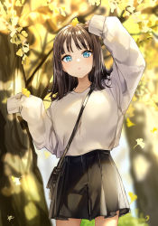 Rule 34 | 1girl, absurdres, arm up, bag, beige sweater, between breasts, black bag, blue eyes, blurry, blurry background, blush, breasts, brown hair, clothes tucked in, collarbone, commentary request, copyright request, cowboy shot, depth of field, ginkgo tree, hand up, highres, holding, holding leaf, leaf, looking at viewer, medium hair, outdoors, oversized clothes, shoulder bag, signature, skirt, sleeves past fingers, sleeves past wrists, solo, strap between breasts, sweater, sweater tucked in, takenoko no you, tree