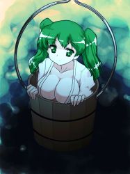 Rule 34 | 1girl, aged up, alternate breast size, bad id, bad pixiv id, breasts, bucket, cleavage, dithering, expressionless, female focus, green eyes, green hair, hair bobbles, hair ornament, in bucket, in container, kisume, large breasts, matching hair/eyes, mono (moiky), no bra, short hair, solo, touhou, twintails