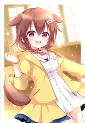 Rule 34 | 1girl, :d, animal collar, animal ears, arm at side, bakery, blush, bone hair ornament, bracelet, braid, brown eyes, brown hair, collar, dog ears, dog girl, dog tail, dress, extra ears, fang, hair between eyes, hair ornament, hairclip, highres, hololive, indoors, inugami korone, inugami korone (1st costume), jacket, jewelry, kashiwadokoro, long hair, looking at viewer, low twin braids, low twintails, off shoulder, open clothes, open jacket, open mouth, red collar, shop, short dress, smile, solo, tail, twin braids, twintails, virtual youtuber, white dress, yellow jacket