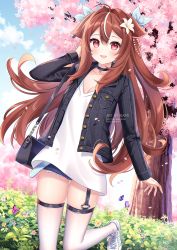 Rule 34 | 1girl, :d, ahoge, animal ears, artist name, bag, black choker, black jacket, blue ribbon, blue shorts, breasts, brown hair, cat ears, cherry blossoms, choker, cleavage, commentary, commission, cutoffs, day, denim, denim jacket, denim shorts, english commentary, fiji (vtuber), floating hair, flower, garter straps, gluteal fold, hair between eyes, hair flower, hair intakes, hair ornament, hair ribbon, highres, indie virtual youtuber, jacket, leg up, long hair, long sleeves, looking at viewer, micro shorts, multicolored hair, nami (nyaa), open clothes, open jacket, open mouth, outdoors, petals, pink flower, pixiv username, red eyes, ribbon, shirt, shoes, short shorts, shorts, shoulder bag, sleeves past wrists, small breasts, smile, sneakers, solo, standing, standing on one leg, streaked hair, thighhighs, thighs, tree, twitter username, very long hair, virtual youtuber, white flower, white footwear, white hair, white shirt, white thighhighs