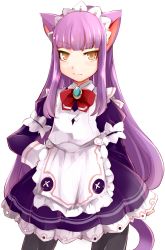 Rule 34 | 1girl, animal ears, black pantyhose, brown eyes, cat ears, cat tail, himeno shikimi, lillithlauda, long hair, looking at viewer, maid, maid headdress, original, pantyhose, purple hair, solo, tail, transparent background