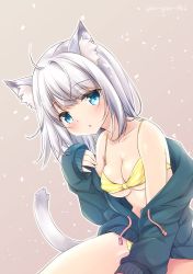 Rule 34 | 1girl, ahoge, animal ear fluff, animal ears, bare shoulders, bikini, bikini under clothes, blue eyes, blue jacket, blush, breasts, brown background, cat ears, cat girl, cat tail, cleavage, collarbone, commentary request, drawstring, jacket, long sleeves, looking at viewer, medium breasts, minakami rinka, off shoulder, open clothes, open jacket, original, parted lips, signature, silver hair, sleeves past wrists, solo, striped bikini, striped clothes, swimsuit, tail