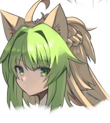 Rule 34 | 1girl, ahoge, animal ears, atalanta (fate), blonde hair, braid, closed mouth, cropped shoulders, fate/apocrypha, fate (series), green eyes, green hair, long hair, looking at viewer, multicolored hair, nahu, portrait, sidelocks, simple background, solo, two-tone hair, white background