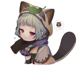 Rule 34 | 1girl, animal, animal hood, blunt bangs, blush, closed mouth, cropped torso, genshin impact, grey hair, hand on own chin, highres, hood, japanese clothes, leaf, leaf on head, looking at viewer, nakura hakuto, pink eyes, sayu (genshin impact), short sleeves, simple background, stroking own chin, tail, tanuki, upper body, white background