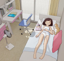Rule 34 | 1girl, bed, bedroom, cat, child, kiyo (kyokyo1220), lying, on back, on bed, original, panties, sleeping, underwear, white panties