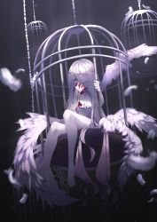 Rule 34 | 1girl, angel, angel wings, barefoot, blood, blood on clothes, blood on face, cage, dripping, eating, feathers, frills, heart, heart (organ), highres, holding, holding heart, light rays, long hair, multiple wings, nyankoni koban, organs, original, see-through, sitting, solo, veil, very long hair, white hair, white theme, wings, yellow eyes