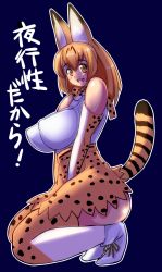 Rule 34 | 10s, animal ears, bow, bowtie, breasts, covered erect nipples, elbow gloves, gloves, high-waist skirt, kemono friends, large breasts, long hair, multicolored hair, nanashi mushi, serval (kemono friends), serval print, serval tail, shirt, skirt, sleeveless, sleeveless shirt, solo, striped tail, tail