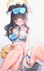 Rule 34 | 1girl, absurdres, animal ears, bare shoulders, black hair, blue archive, blue eyes, blush, breasts, cheerleader, closed mouth, covering crotch, covering privates, dog ears, dog girl, dog tail, embarrassed, eyewear on head, grey background, halo, hibiki (blue archive), hibiki (cheer squad) (blue archive), highres, long hair, looking at viewer, maru ccy, medium breasts, millennium cheerleader outfit (blue archive), nose blush, official alternate costume, pom pom (cheerleading), simple background, sitting, skirt, solo, tail, text print