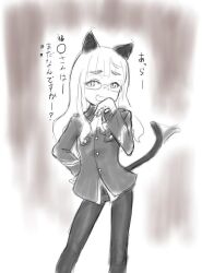 Rule 34 | 1girl, animal ears, blush, cat ears, cat tail, glasses, long hair, looking at viewer, panties, panties under pantyhose, pantyhose, perrine h. clostermann, shiri chin, smile, solo, strike witches, tail, underwear, world witches series