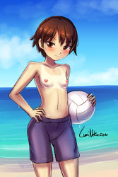 Rule 34 | 1girl, absurdres, artist name, ball, beach, blush, breasts, brown eyes, brown hair, collarbone, commentary, commission, cowboy shot, crossdressing, day, dripping, english commentary, girls und panzer, hand on own hip, highres, holding, holding ball, isobe noriko, looking at viewer, lumineko, male swimwear, male swimwear challenge, navel, nipples, ocean, purple male swimwear, second-party source, short hair, signature, sky, small breasts, smile, solo, swim trunks, swimsuit, tan, tanline, topless, volleyball, volleyball (object), wet