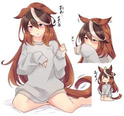 Rule 34 | 1girl, animal ears, brown hair, commentary request, greyscale, highres, horse ears, horse girl, horse tail, ido (teketeke), long hair, monochrome, multicolored hair, multiple views, purple eyes, seiza, simple background, sitting, sleeves past wrists, smelling, sweater, symboli rudolf (umamusume), tail, translation request, umamusume, white background, white hair