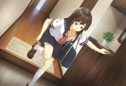 Rule 34 | 1girl, adjusting clothes, adjusting shoe, arm support, bad id, bad pixiv id, bag, blue skirt, blush, bread slice, brown eyes, brown hair, cabinet, closed mouth, collarbone, door, dutch angle, food, food in mouth, hallway, indoors, jewelry, kneehighs, leaning forward, leg up, legs, long hair, mat, mouth hold, nagomu, necklace, original, plant, pleated skirt, potted plant, school bag, school uniform, serafuku, shoes, short sleeves, skirt, socks, solo, standing, standing on one leg, tile floor, tiles, toast, toast in mouth, white socks, wooden floor