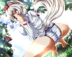 Rule 34 | 1girl, animal ears, ass, bare shoulders, barefoot, blue skin, blush, breasts, cloud, colored skin, day, detached sleeves, dutch angle, grass, hat, hat ribbon, inubashiri momiji, large breasts, long sleeves, looking at viewer, looking back, no pants, panties, pink eyes, ribbon, shirt, silver hair, solo, spread legs, squatting, striped clothes, striped panties, tail, tiptoes, tokin hat, touhou, underwear, wolf ears, wolf tail, zan (harukahime)