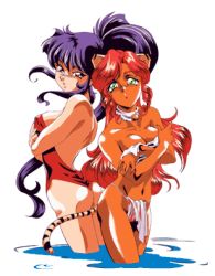 Rule 34 | 1990s (style), 2girls, animal ears, ass, cat ears, cat tail, crossed arms, dark-skinned female, dark skin, dragon pink, green eyes, high ponytail, long hair, looking at viewer, lowres, multiple girls, navel, non-web source, official art, pierce (dragon pink), pink (dragon pink), pink hair, purple eyes, purple hair, retro artstyle, simple background, tail, wading, white background