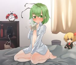 Rule 34 | 1girl, alarm clock, antennae, between legs, blush, book, bottomless, breasts, bug, cellphone, character doll, charging device, clock, closed mouth, collared shirt, commentary request, cup, curtains, flying sweatdrops, full body, green eyes, green hair, hair between eyes, hand between legs, holding, holding cup, indoors, insect, ladybug, looking at viewer, mug, mystia lorelei, mystia lorelei (bird), naked shirt, on bed, open clothes, open shirt, phone, rumia, seiza, shelf, shirt, short hair, sitting, small breasts, smartphone, smile, solo, thighs, touhou, trash can, unimamo, white shirt, wriggle nightbug