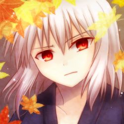 Rule 34 | 00s, 1boy, autumn leaves, bad id, bad link, bad twitter id, frown, japanese clothes, lowres, male focus, open clothes, red eyes, short hair, solo, sora (yukimi shiro), tohno shiki (2), tsukihime, upper body, white hair